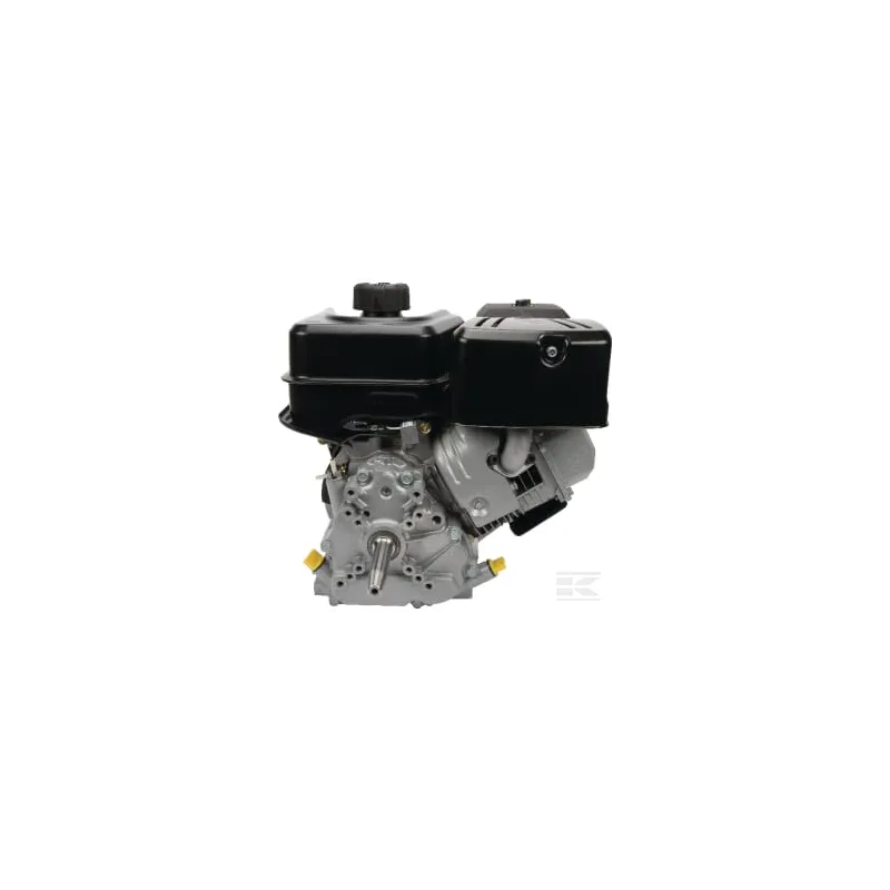 Moteur complet 8.9ch Briggs & Stratton
