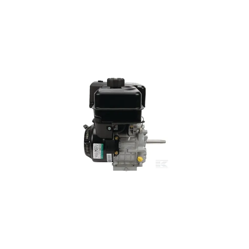 Moteur complet 8.9ch Briggs & Stratton