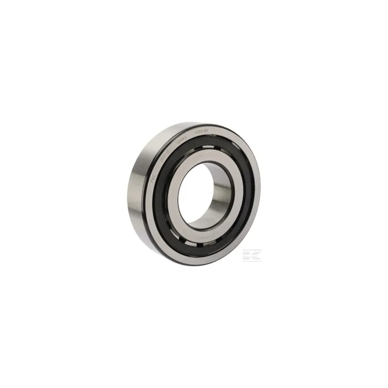 Roulement à rouleaux sphériques 55x100x21mm