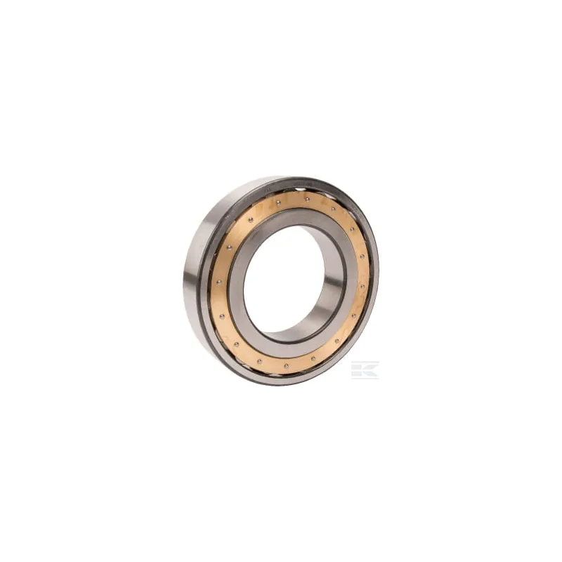 Roulement à rouleaux sphériques 110x200x38mm INA/FAG