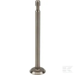 Soupape d'échappement