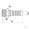 Racc. à sertir DN32-1"11/16 SAE
