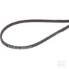 Courroie trapézoïdale (3L-37 Lg