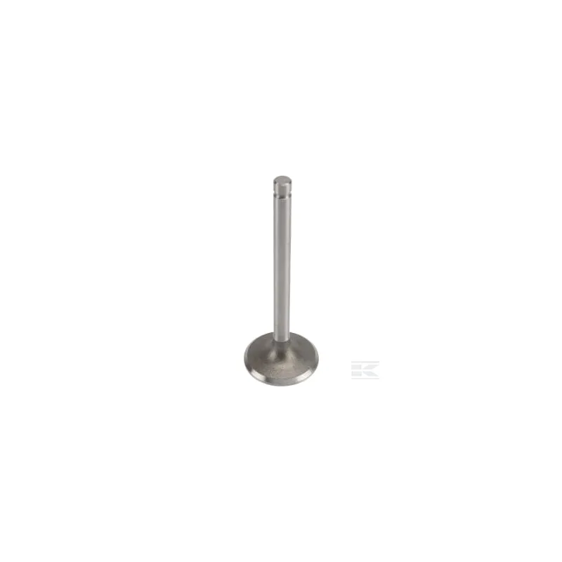 Soupape d'admission standard