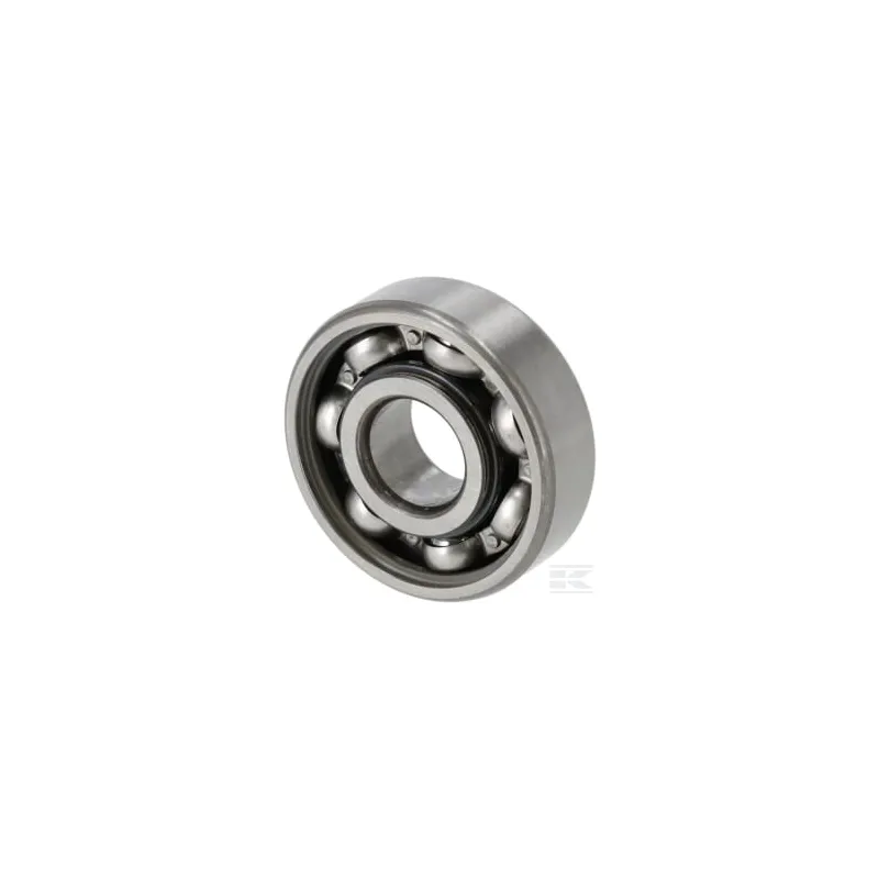 Palier 6302 DUC3