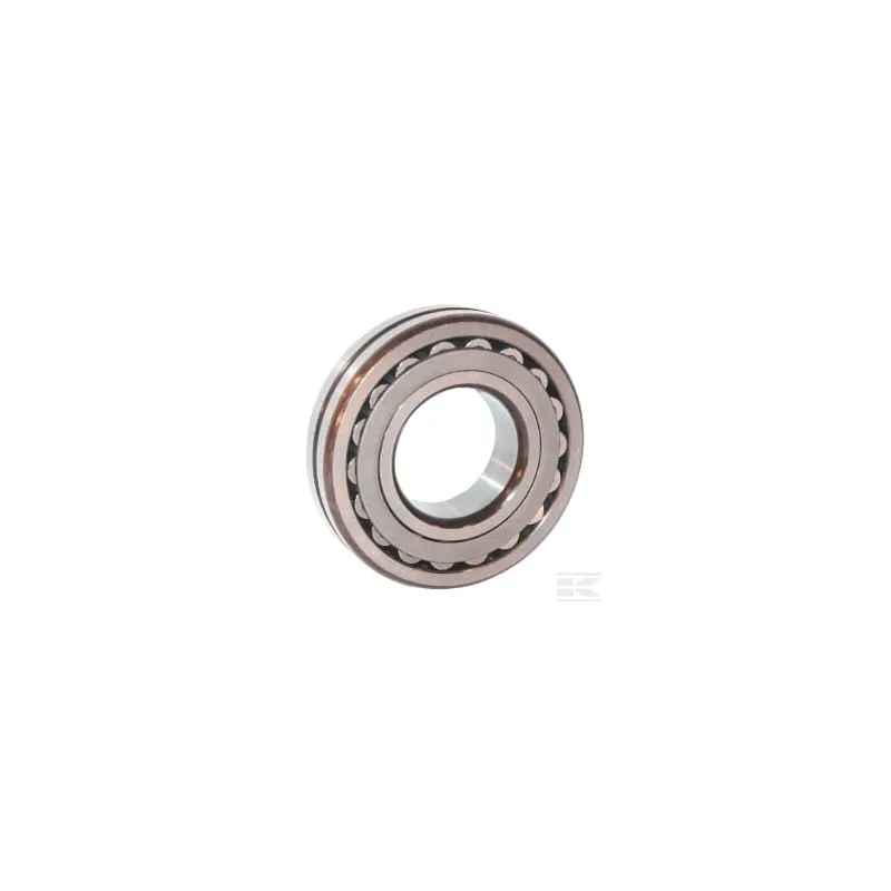 Roulement à rouleaux 170x310x110mm SKF