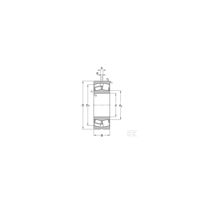 Roulement à rouleaux 100x165x52mm SKF