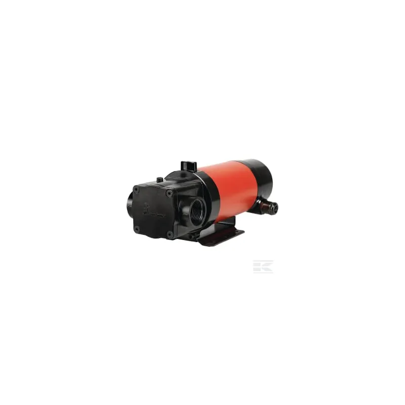 Pompe diesel 24V 35l/m