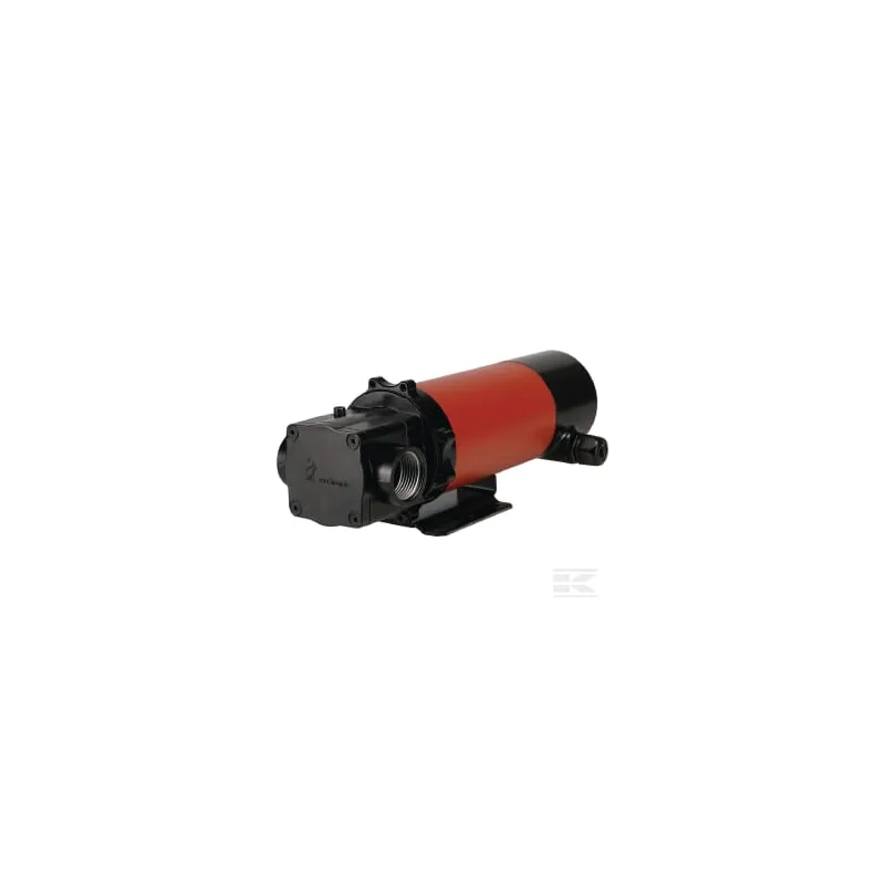Pompe à gasoil 12 V