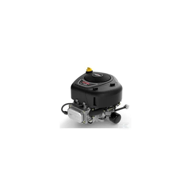 Moteur, vertical, 12,9 HP, série Intek 3130, Briggs & Stratton