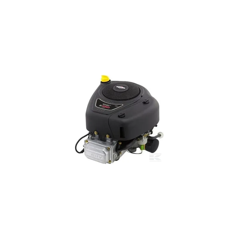 Moteur, vertical, 12,3 CV, Briggs & Stratton