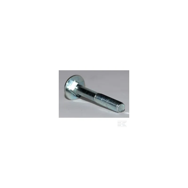 Vis J M8X55