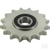 Disque Dente + Rlt