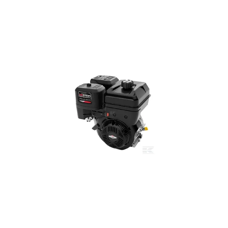 Moteur, horizontal 13,5 cv, 210