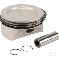 Kit piston 725cc (std)
