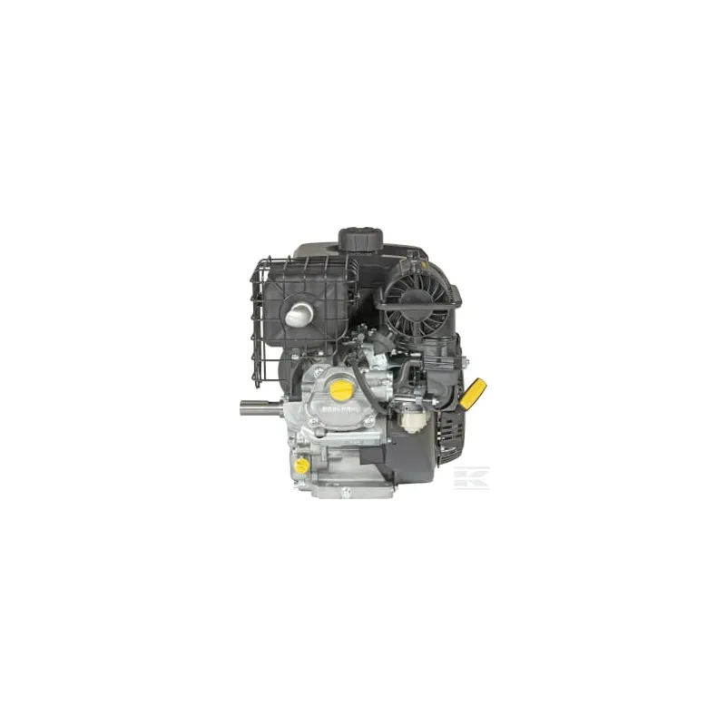 Moteur horizontal, 14 CV, Vanguard,Briggs & Stratton , spécification EG0001