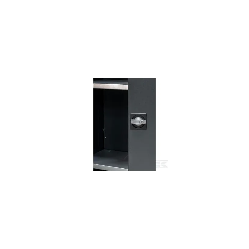Armoire avec portes 780x340x1893mm