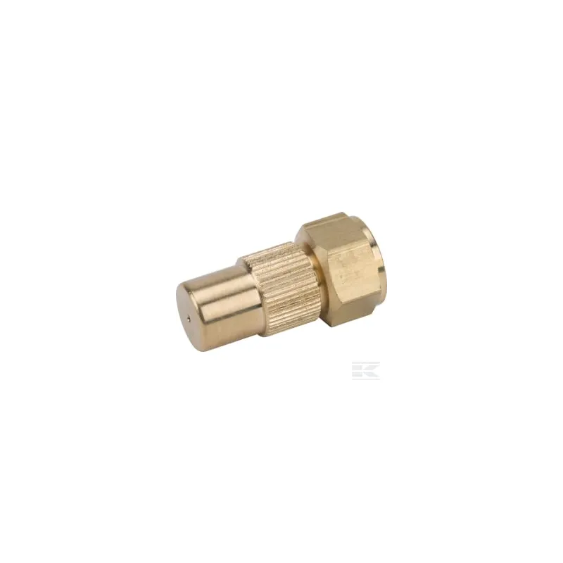Buse 1.3 Birchmeier