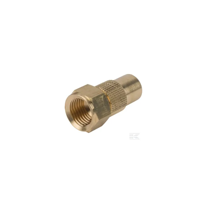 Buse 1.3 Birchmeier