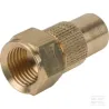 Buse 1.3 Birchmeier