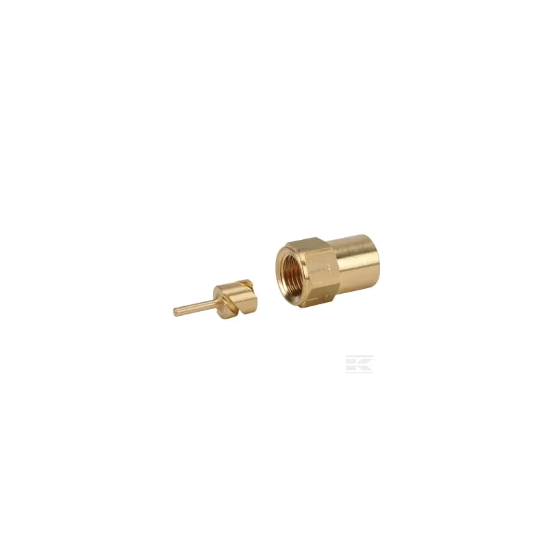 Buse 50° 8 dorée acier inoxydable Birchmeier