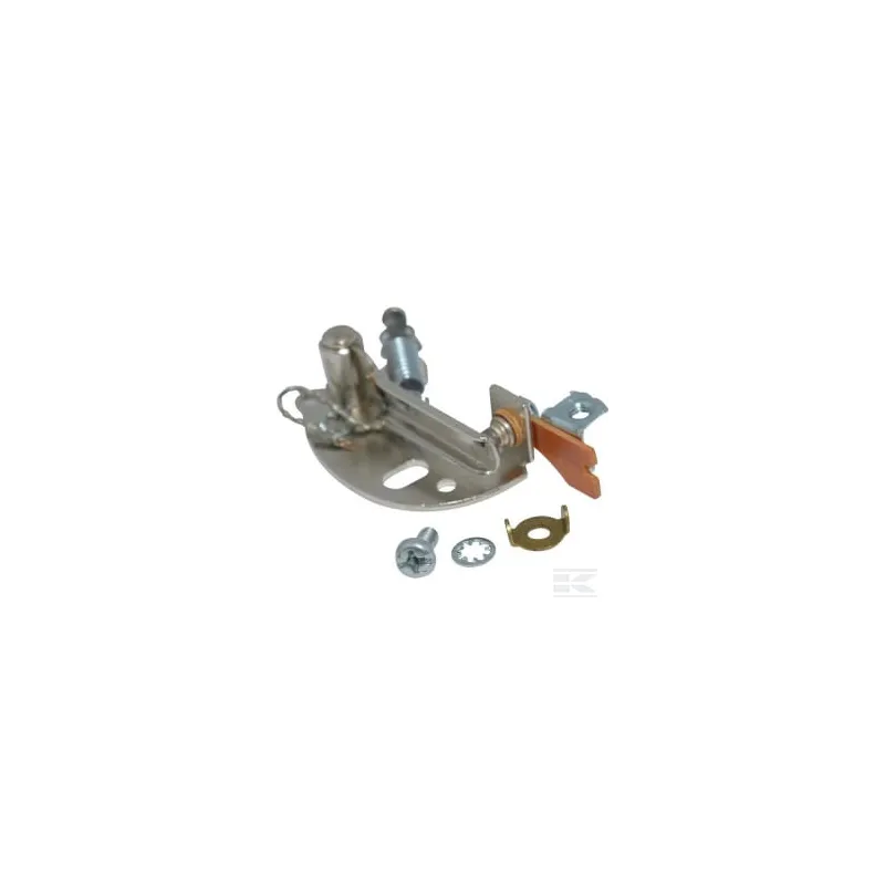 Rupteur Briggs & Stratton