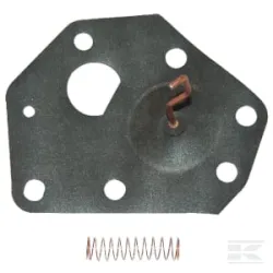 Membrane B&S
