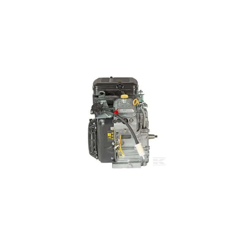 Moteur, horizontal, 15,8 Hp, Vanguard