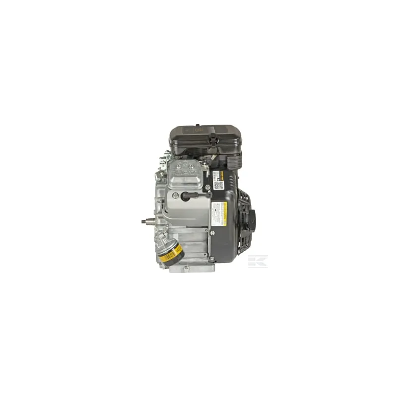Moteur, horizontal, 15,8 Hp, Vanguard