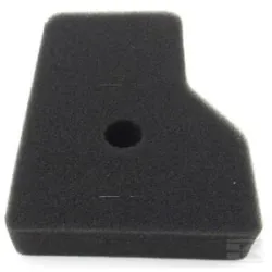 Filtre à mousse