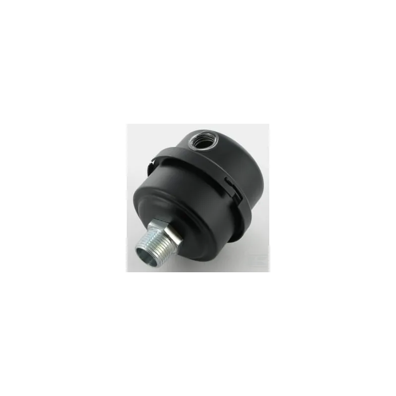 Filtre d'aspiration mâle 3/8" BSP