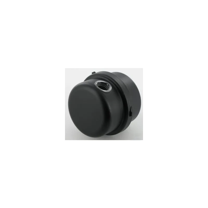 Filtre d'aspiration mâle 3/8" BSP