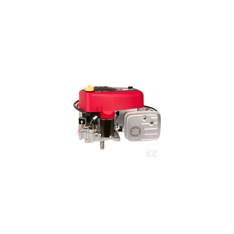Moteur vertical 17,3 HP monocylindre, série 4175, Briggs & Stratton