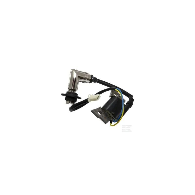 Bobine d'allumage B&S