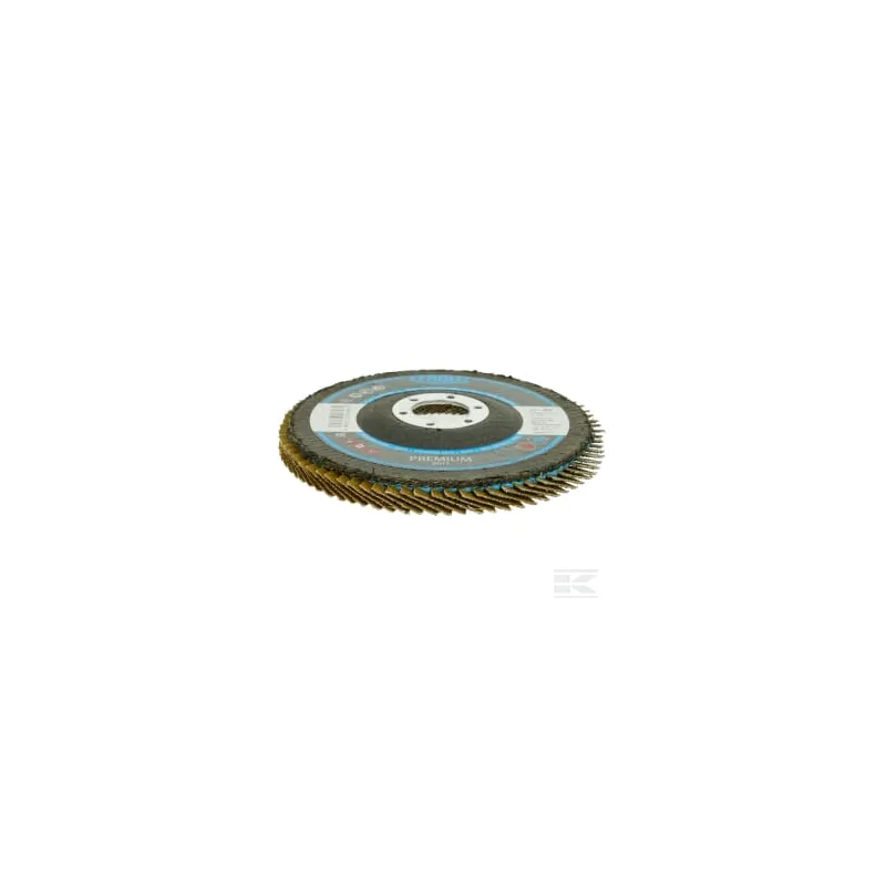 Disque à lamelles 125 mm K40 Form 28A