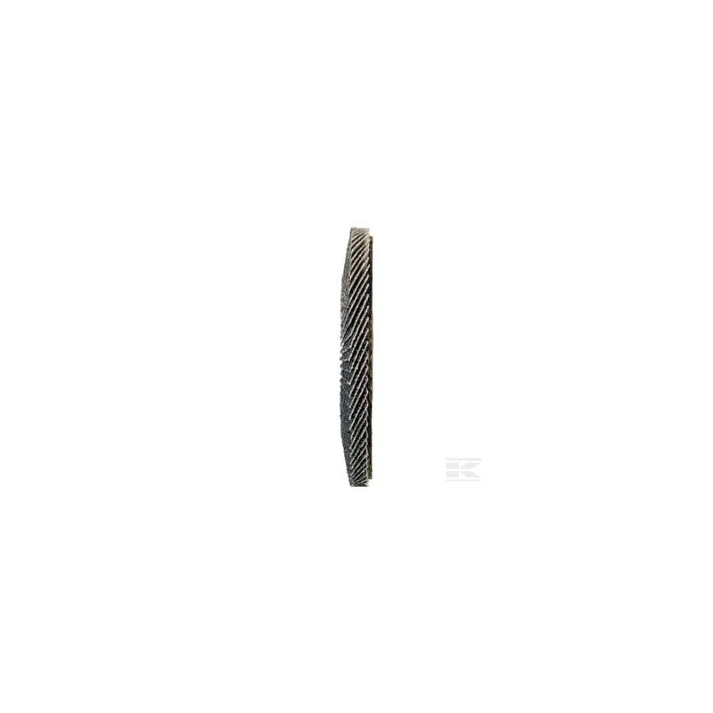Disque à lamelles 125 mm K40 Form 27A