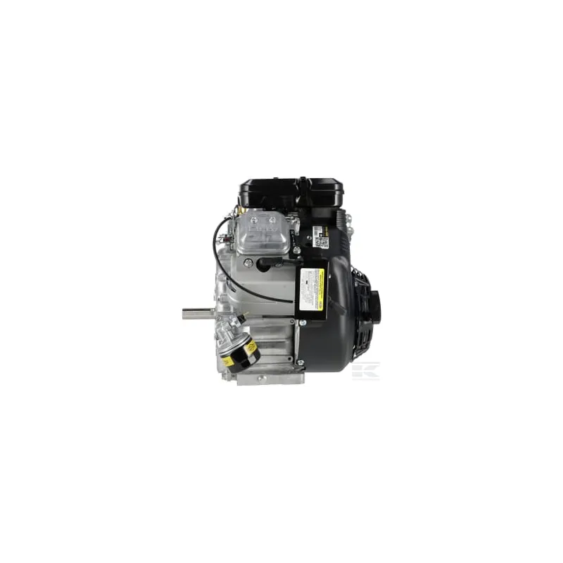 Moteur, horizontal, 18 Hp, Vanguard, 2 cylindres