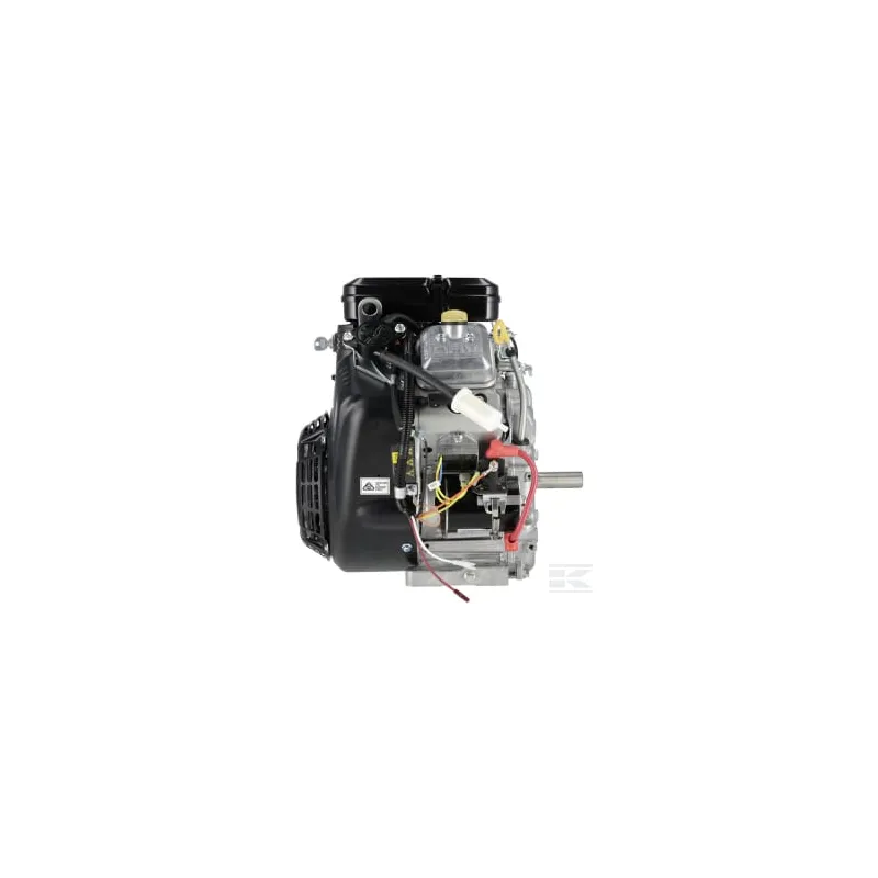 Moteur, horizontal, 18 Hp, Vanguard, 2 cylindres