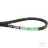 Courroie trapézoïdale