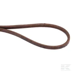 Courroie trapézoïdale