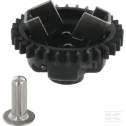 Roue dentée de régulateur