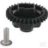 Roue dentée de régulateur