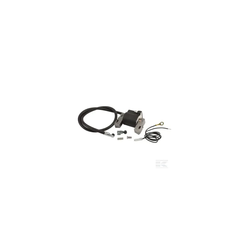 Bobine d'allumage B&S