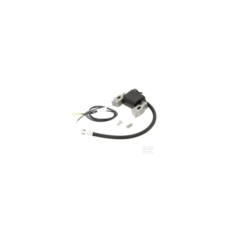 Bobine d'allumage B&S