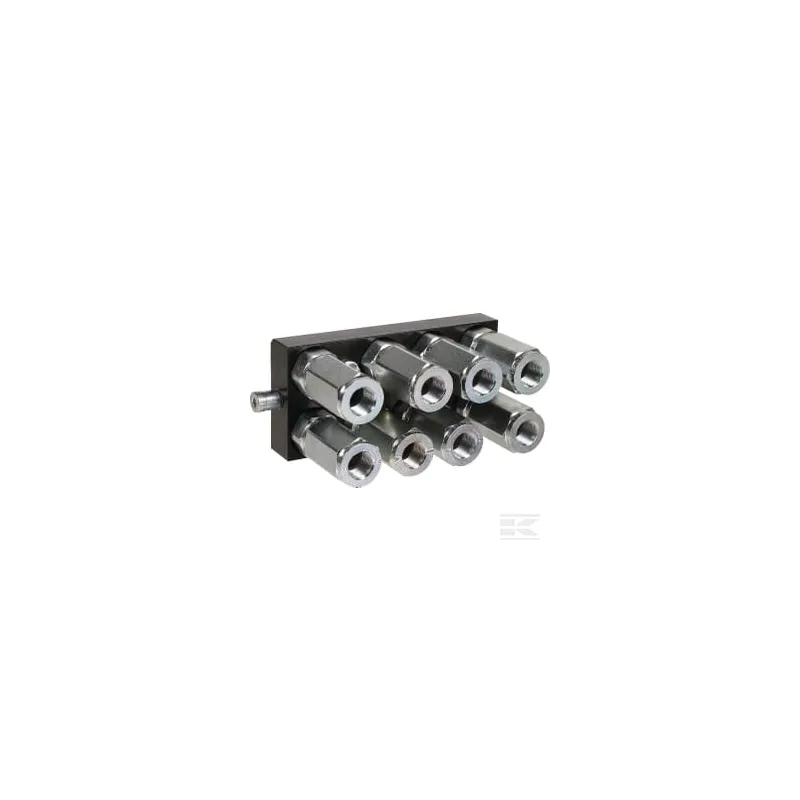 Raccord multiple DN12-8 x 1/2" BSPP prise amovible
