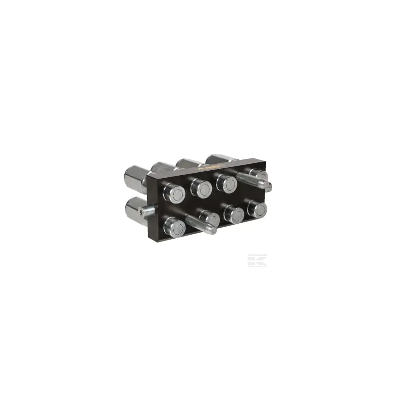 Raccord multiple DN12-8 x 1/2" BSPP prise amovible