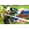 Agrafes, acier C75 boîte 6M