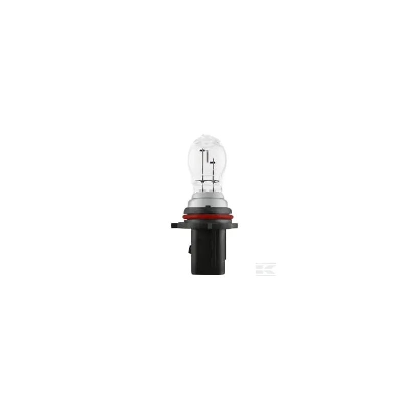 Ampoule 828 13W 12V PG18.5D1 FS1