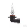 Ampoule 9005 HB3 60W 12V P20D FS1