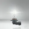 Ampoule 9005 HB3 60W 12V P20D FS1